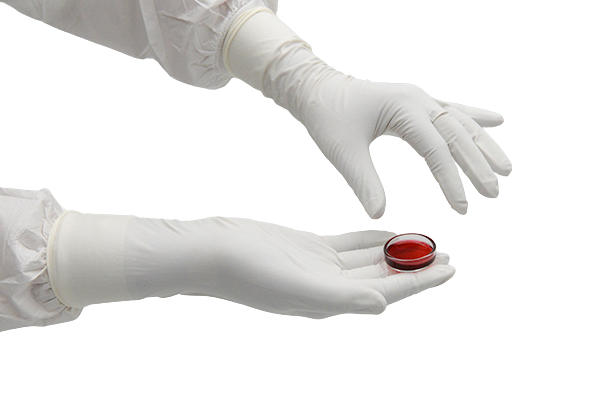 DYNOsense whiteNitrile DW+ 330 sterileWeisser DYNOsense whiteNitrile DW+ 330 sterile Nitrilhandschuh mit einer Länge von 330mm, hält ein gefüllter durchsichtiger Behälter.